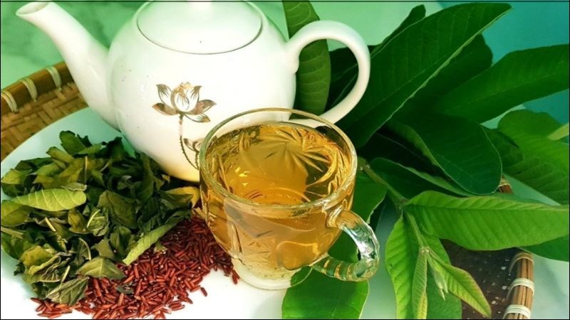Không nên uống nhiều hơn 2 cốc nước lá ổi trong 1 ngày