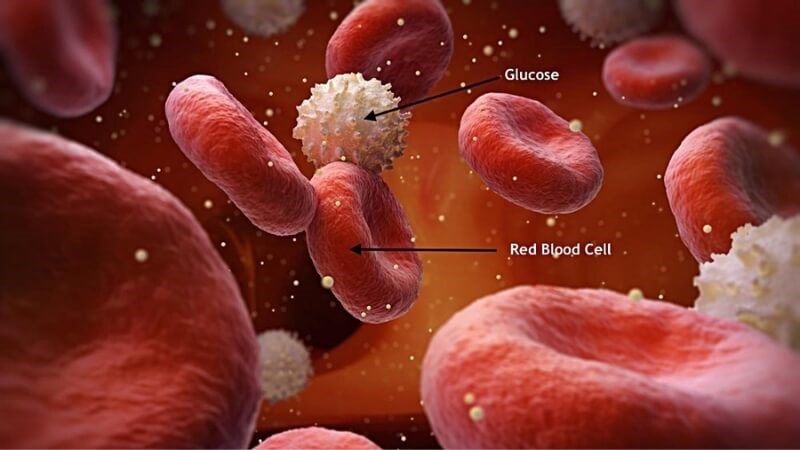 Lá ổi giúp ổn định lượng glucose máu