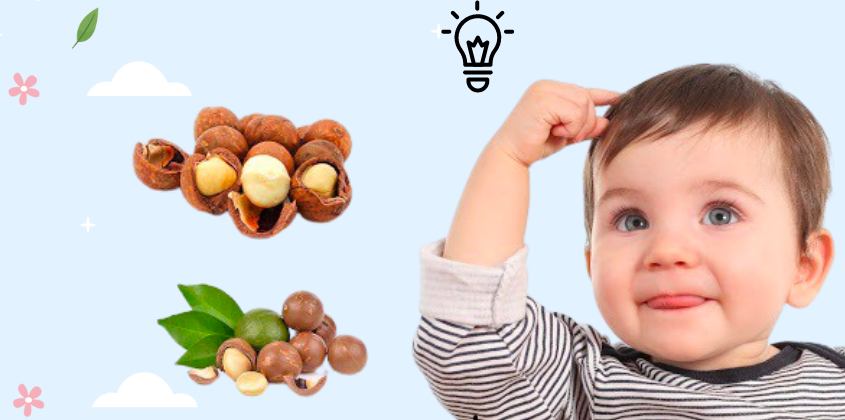 Dầu macca hỗ trợ phát triển trí não cho bé