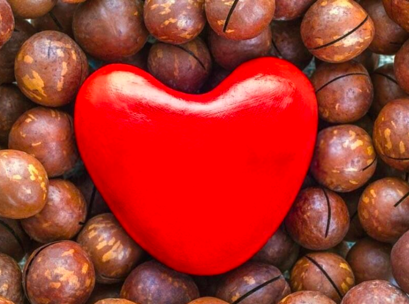 Dầu macca giảm các nguyên nhân gây nên bệnh tim ở trẻ