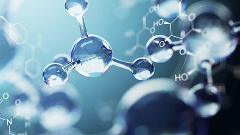 Socola đen chứa các chất oxy hoá giúp bảo vệ cơ thể khỏi các tác nhân gây hại
