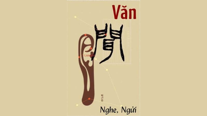 Văn chẩn là phương pháp chẩn đoán bằng cách nghe và ngửi