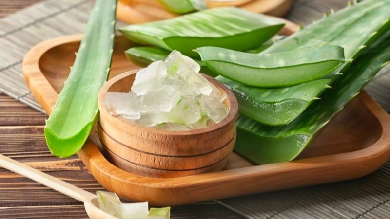 Gel từ nha đam không chỉ giúp xoa dịu vết thương mà còn bảo vệ da khỏi nhiễm trùng