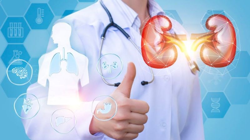 Ba kích quy kinh can, thận nên có tác dụng bổ thận tráng dương