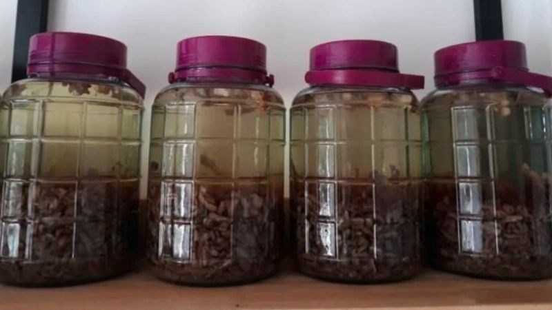 Thời gian ngâm ba kích tươi tốt nhất là sau 6 tháng