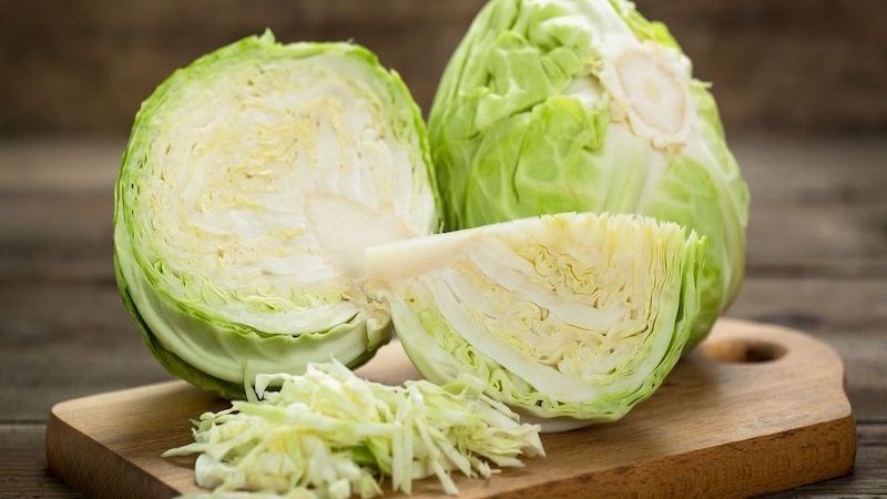 Mẹ cho con bú ăn bắp cải không ảnh hưởng đáng kể đến việc sản xuất sữa