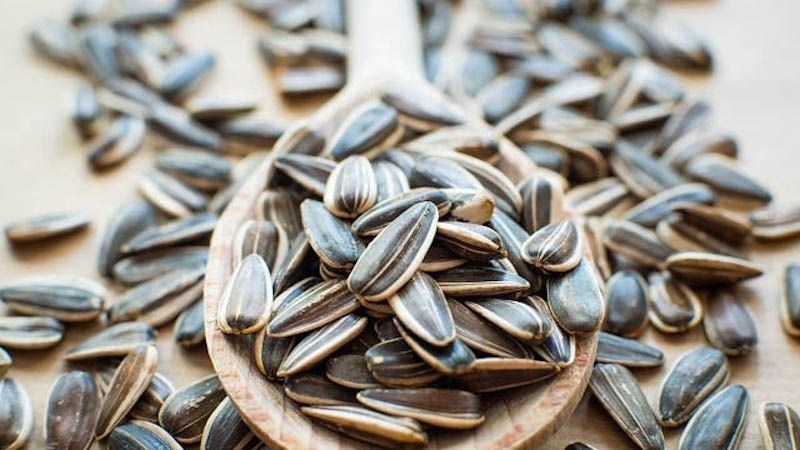Bạn không nên ăn ớt chuông cùng hạt hướng dương