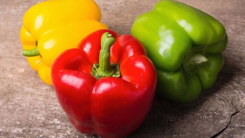 Không thể chỉ dựa vào màu sắc quyết định được loại ớt chuông nào tốt nhất