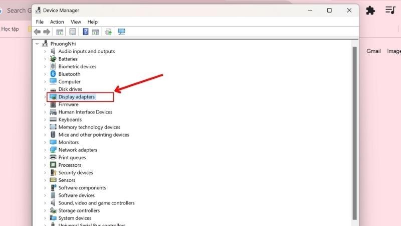 Bạn bấm chọn Display adapters tại cửa sổ Device Manager