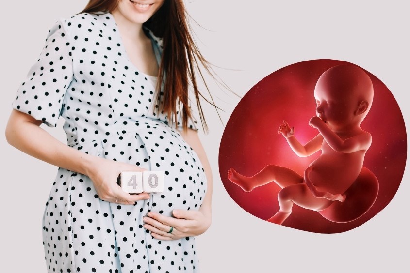 Sự phát triển của thai nhi 40 tuần