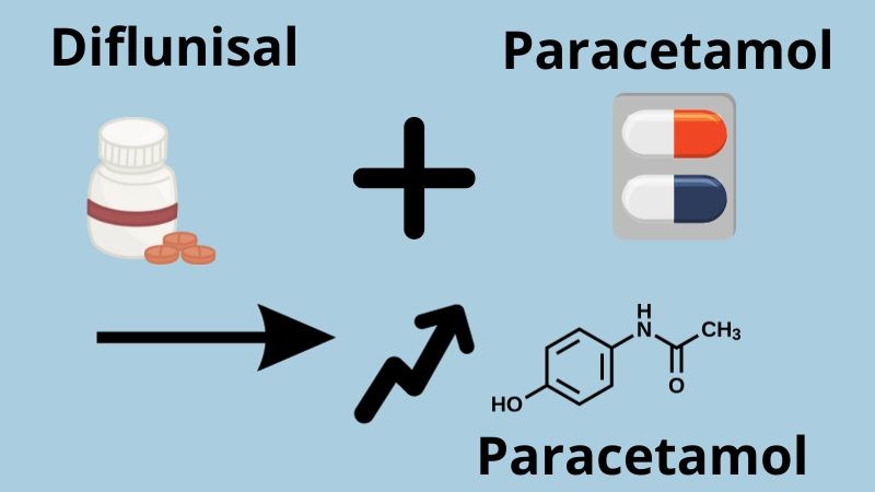 Diflunisal có thể làm tăng nồng độ của paracetamol trong máu