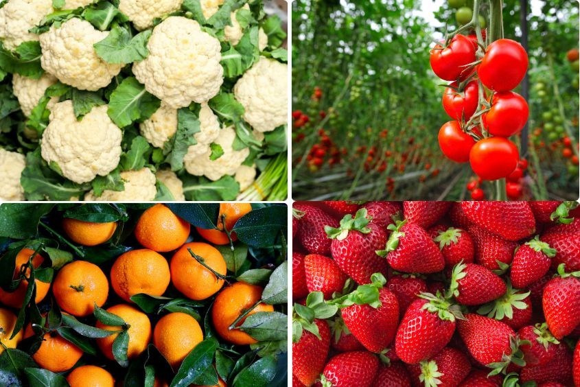 Những thực phẩm bổ dưỡng bầu 9 tháng nên ăn