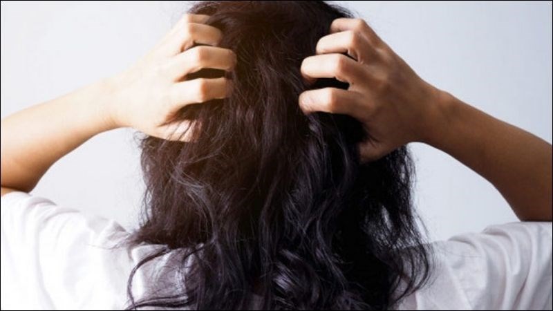 Mỗi loại tóc có đặc điểm khác nhau nên cần loại dầu gội chăm sóc tóc phù hợp