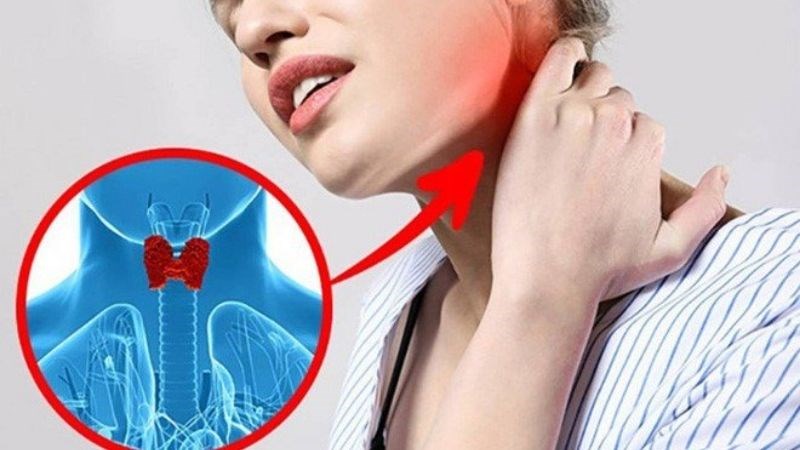 Ăn tôm giúp kiểm soát chức năng tuyến giáp hoạt động bình thường