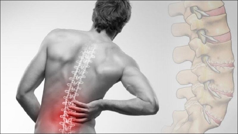 Tôm có thể giúp ngăn ngừa loãng xương ở người lớn tuổi