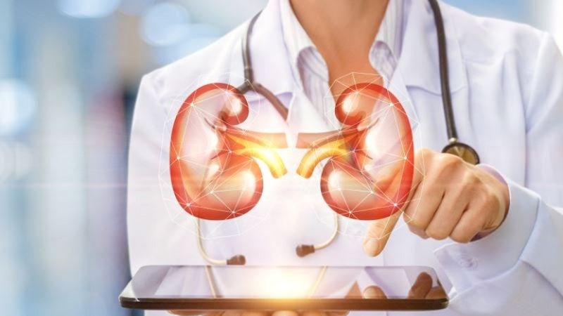 Ngưu tất sử dụng chung với mã đề, cỏ mực có thể hỗ trợ chữa suy thận