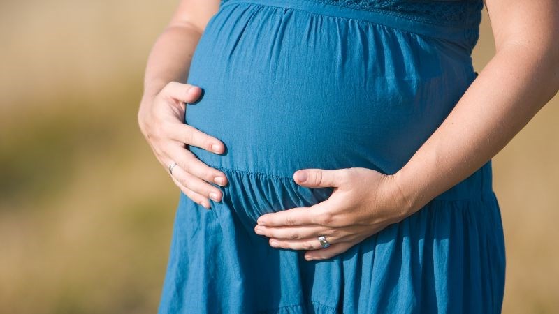 Phụ nữ có thai không nên sử dụng cẩm tú cầu làm thuốc