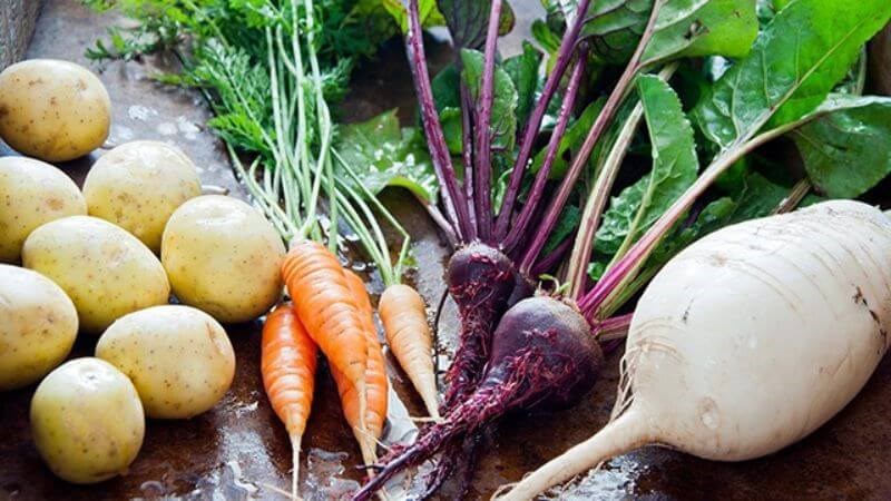 Củ quả giàu vitamin và khoáng chất giúp hoàn thiện hệ miễn dịch