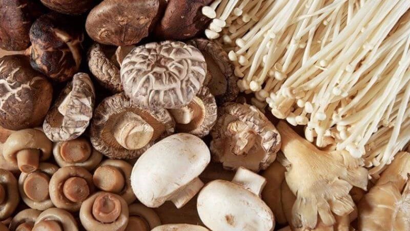 Ăn nấm liên tục trong 4 tuần sẽ tăng cường tế bào lympho T