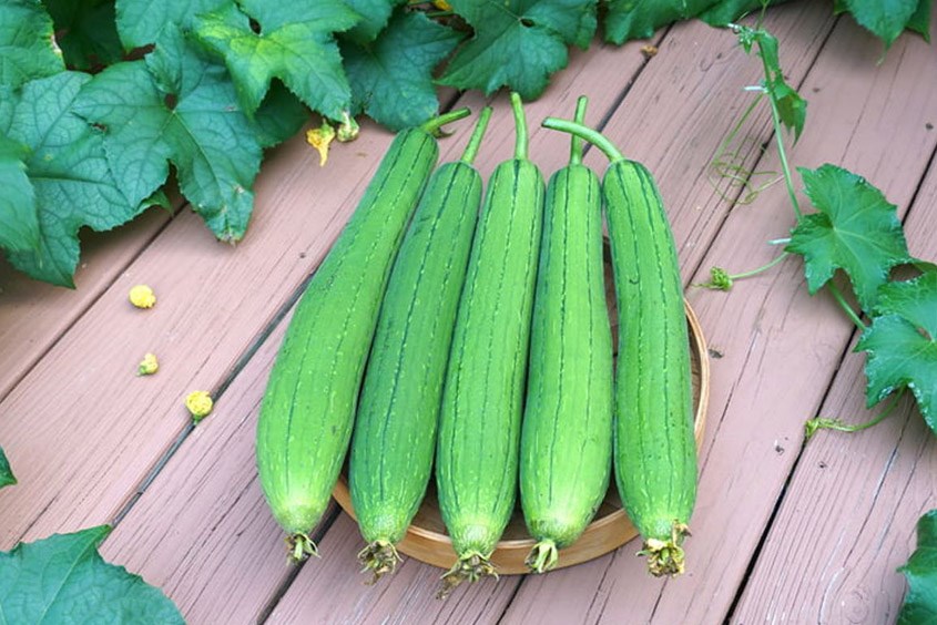 Nhiều mẹ thắc mắc bà bầu ăn mướp được không