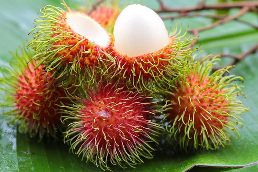 Giải đáp thắc mắc bà bầu ăn chôm chôm được không