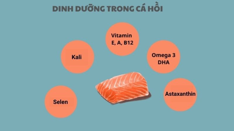 Cá hồi là một loại thực phẩm giàu dinh dưỡng, chứa nhiều chất dinh dưỡng tốt