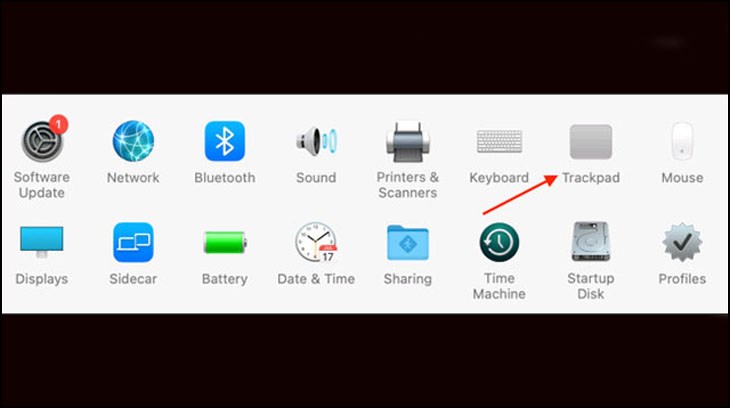 Nhấp vào phần Trackpad