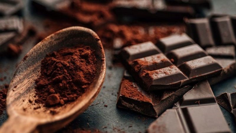 Socola đen c&oacute; thể bảo vệ tai khỏi c&aacute;c bệnh nhiễm khuẩn