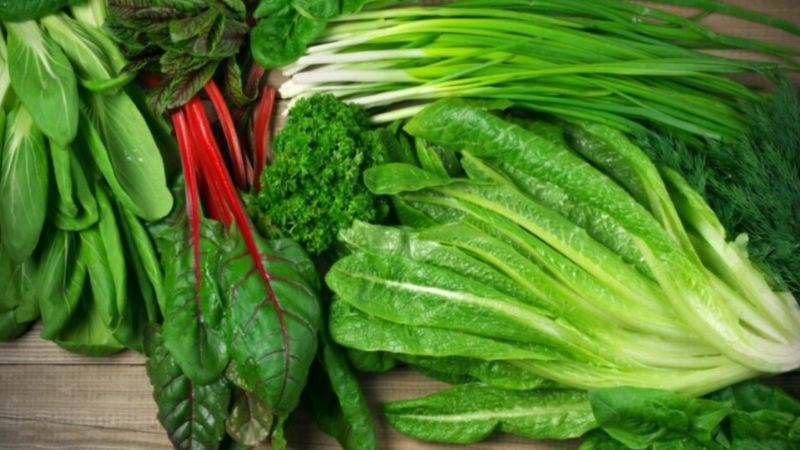 Rau xanh gi&uacute;p cung cấp nhiều vitamin v&agrave; kho&aacute;ng chất cho cơ thể