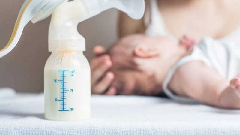 Bánh gai chứa nhiều dưỡng chất tốt cho sữa mẹ
