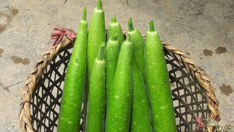 Bầu n&ecirc;n được bảo quản ở nơi kh&ocirc; r&aacute;o, tho&aacute;ng m&aacute;t, tr&aacute;nh &aacute;nh nắng trực tiếp