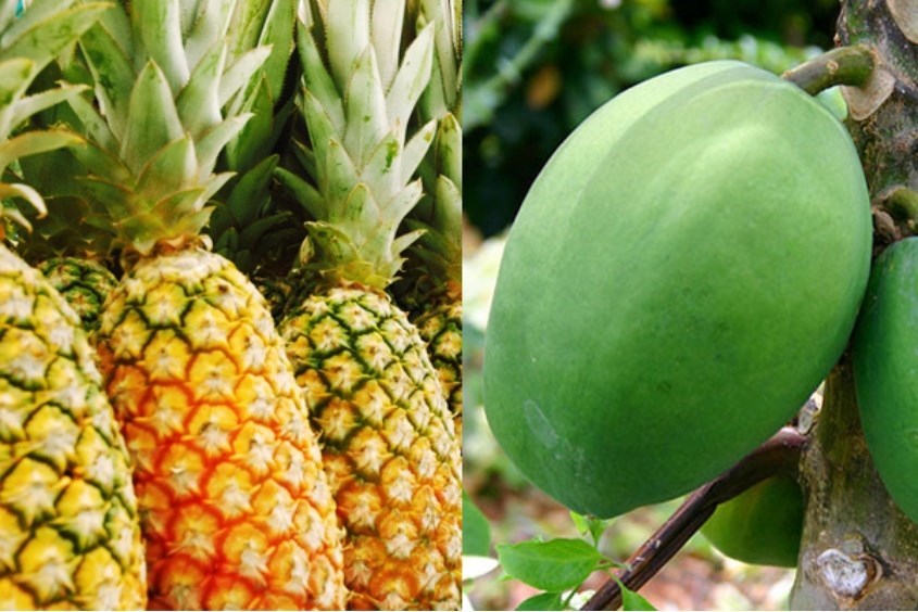 Thực phẩm mẹ bầu mang thai 3 tuần tuổi nên tránh