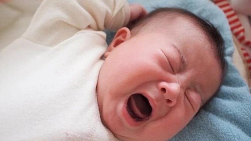 Thì là giúp trẻ sơ sinh giảm quấy khóc