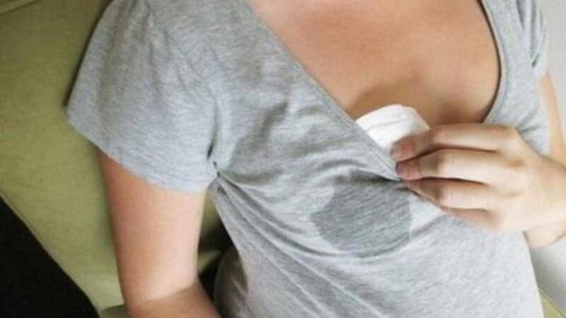 Thì là kích thích tiết sữa ở phụ nữ mang thai