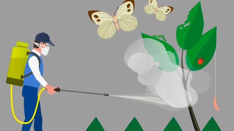 Sử dụng thuốc chống c&ocirc;n tr&ugrave;ng để ngăn ngừa muỗi sinh s&ocirc;i