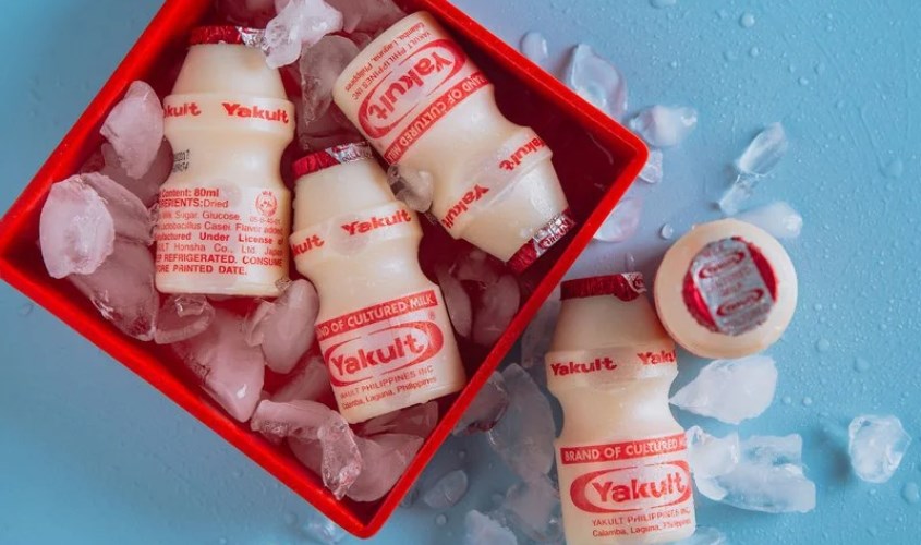 Bảo quản sữa Yakult ở nhiệt độ ngăn mát là thích hợp nhất, thơm ngon hơn khi uống lạnh Bảo quản sữa Yakult ở nhiệt độ ngăn mát là thích hợp nhất, thơm ngon hơn khi uống lạnh