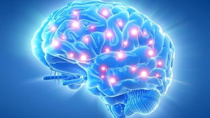 Hoạt huyết dưỡng não giúp phục hồi các chức năng tế bào não