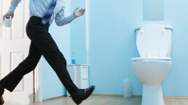 Râu mèo có tác dụng trị tiểu ra sỏi, ra máu