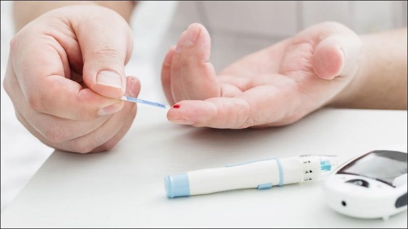 Bài thuốc từ cây râu mèo hỗ trợ điều trị tiểu đường