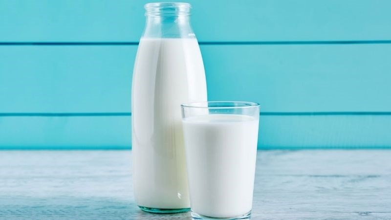 Một cốc (246ml) sữa tươi cung cấp 8,32g chất đạm
