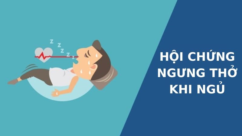 Người mắc chứng ngưng thở khi ngủ sẽ bị ngừng thở tạm thời trong khi ngủ