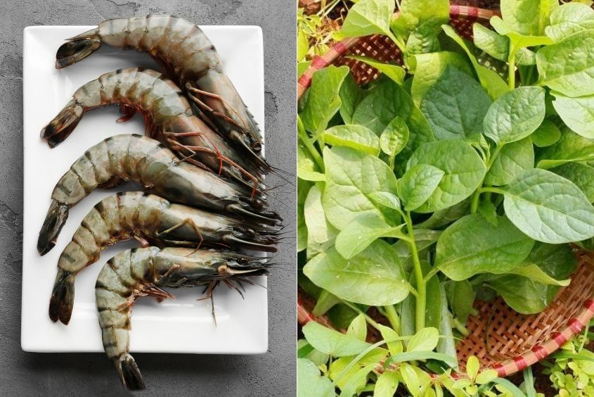 Cách nấu canh cho bé ăn dặm từ tôm và mồng tơi