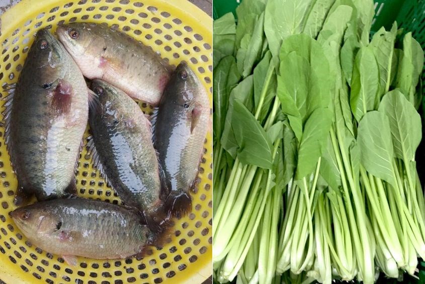 Canh cho bé kết hợp cá rô và rau cải