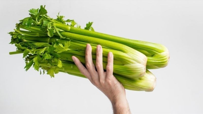  Cần tây có thể gây dị ứng và mất sữa ở mẹ bỉm