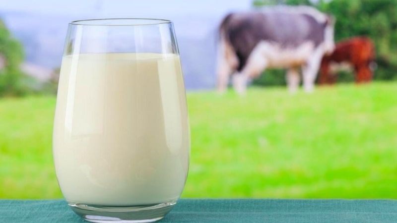 Một số trẻ em có thể bị dị ứng với đạm sữa bò