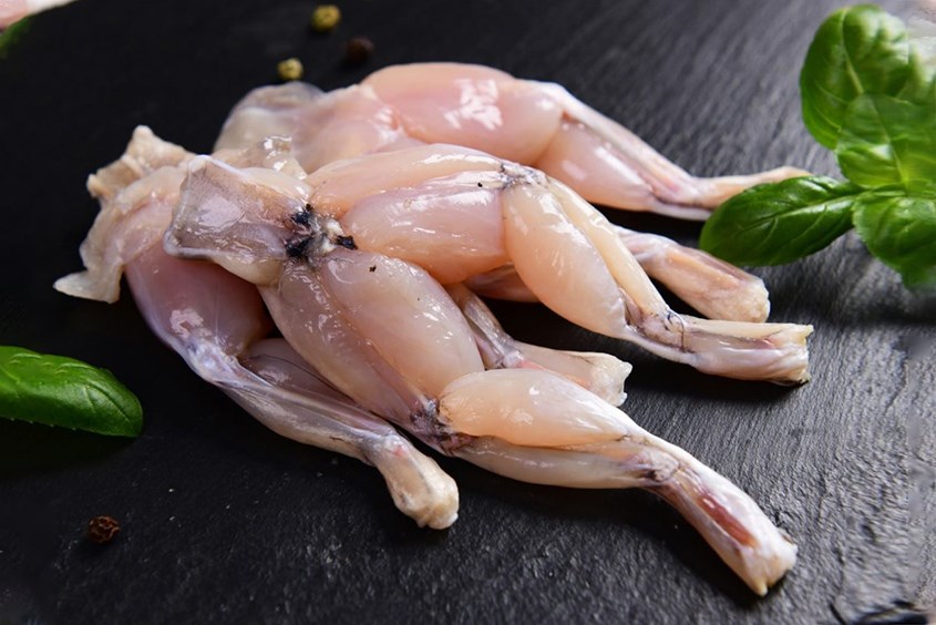 Lợi ích khi cho bé ăn dặm thịt ếch