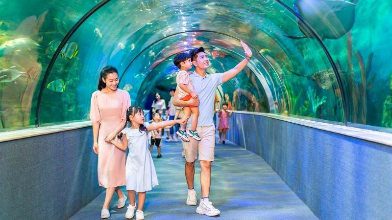 Bố mẹ nên chọn địa điểm phù hợp với sở thích của trẻ