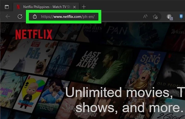 Truy cập trang web chính thức của Netflix