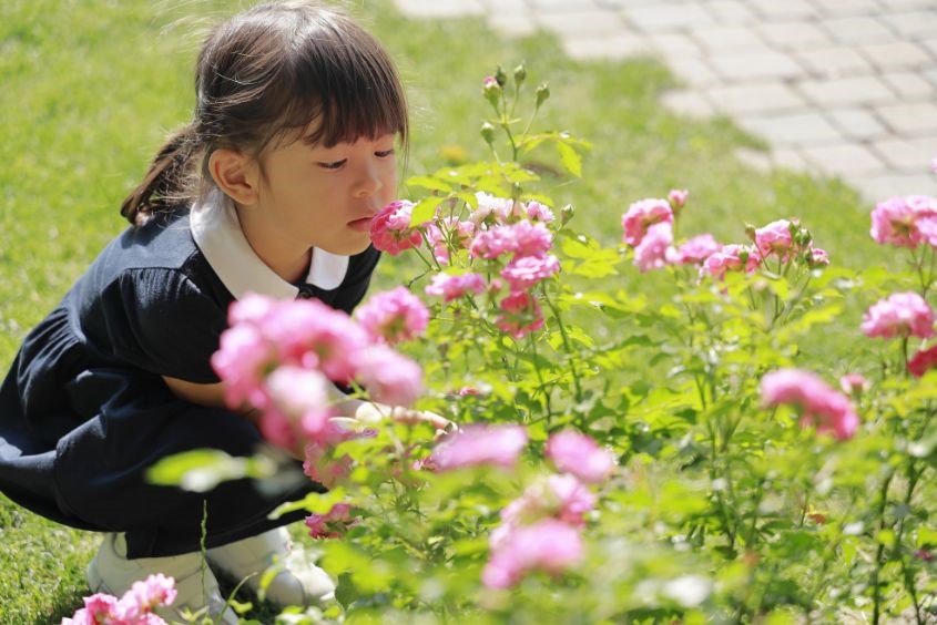Tên tiếng Pháp hay cho nữ ý nghĩa