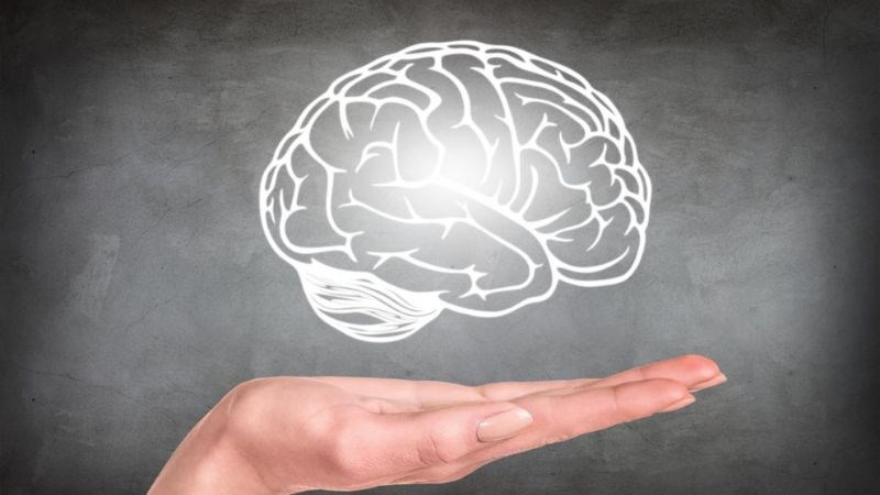 Những thực phẩm chức năng giúp cải thiện tuần hoàn não rất có ích cho não bộ